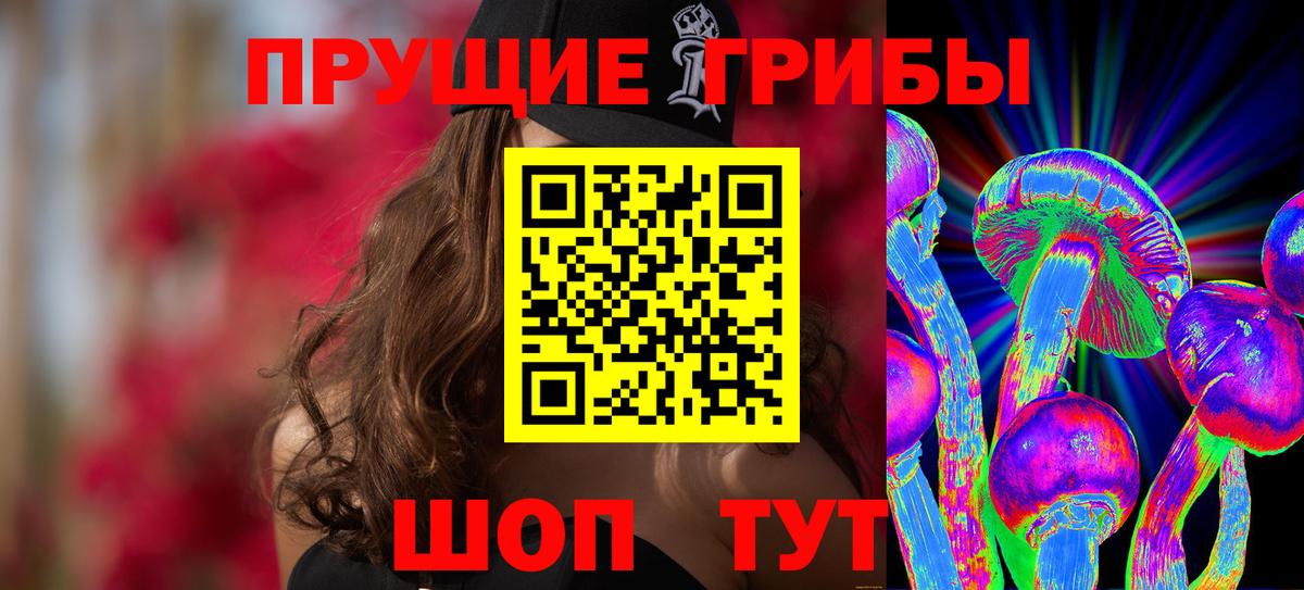 Грозный  Галлюциногенные грибы ЛСД  Вход с VPN 